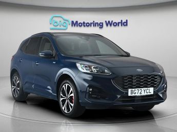 Ford Kuga ST-LINE X EDITION