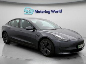 Tesla Model 3 ALL MODELS
