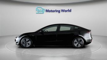 Tesla Model 3 ALL MODELS