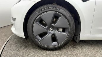 Tesla Model 3 ALL MODELS