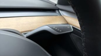 Tesla Model 3 ALL MODELS