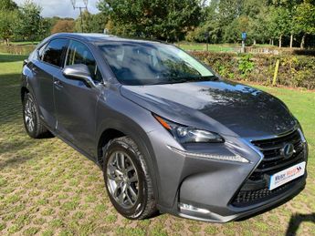 Lexus NX 2.5 300h Luxury