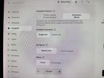 TESLA MODEL 3 Standard Range Plus