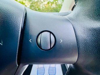 TESLA MODEL 3 Standard Range Plus