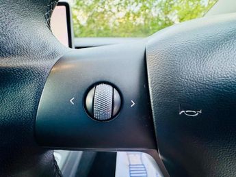 TESLA MODEL 3 Standard Range Plus
