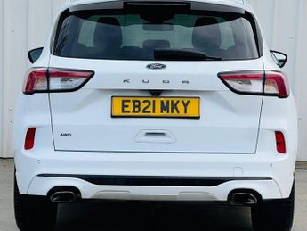 FORD KUGA 2.0 EcoBlue ST-Line Edition Auto AWD Euro 6 (s/s) 5dr