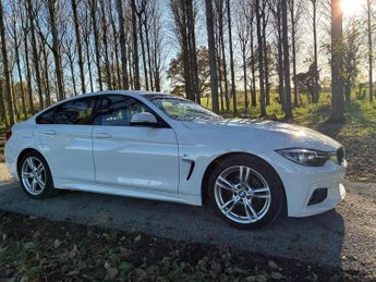 BMW 420 2.0 420i GPF M Sport Auto Euro 6 (s/s) 5dr