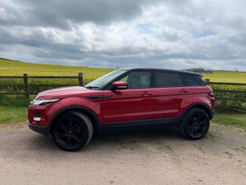 LAND ROVER RANGE ROVER EVOQUE 2.2 SD4 Pure