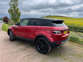 LAND ROVER RANGE ROVER EVOQUE 2.2 SD4 Pure