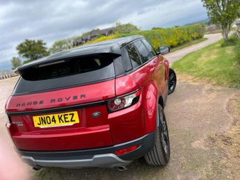 LAND ROVER RANGE ROVER EVOQUE 2.2 SD4 Pure