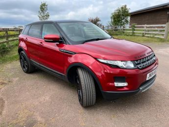 LAND ROVER RANGE ROVER EVOQUE 2.2 SD4 Pure