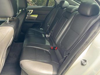 JAGUAR XF 2.2d Premium Luxury Auto Euro 5 (s/s) 4dr