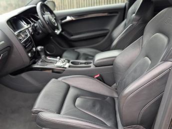 AUDI A5 2.0 TDI Black Edition Plus S Tronic quattro Euro 5 (s/s) 2dr