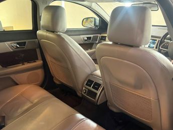JAGUAR XF 3.0 d V6 Premium Luxury