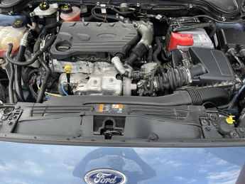 FORD FOCUS 1.5 EcoBlue ST-Line X