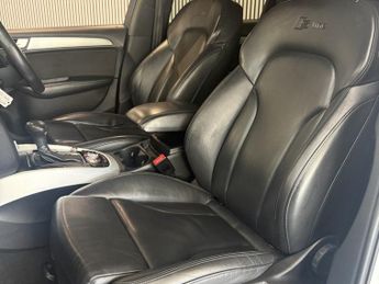 AUDI Q5 2.0 TDI S line Plus