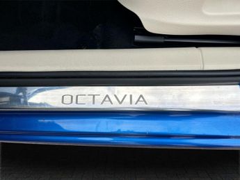 SKODA OCTAVIA 1.6 TDI Elegance