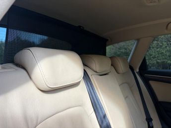 AUDI A4 Sport