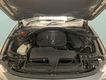 BMW 3 Series 2.0 320d BluePerformance M Sport (184 ps) - BMW SPORT AUTO - BLU