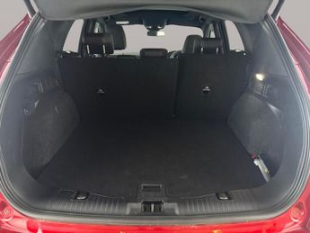 Ford Kuga 2.5 Duratec 14.4kWh ST-Line X Edition Plug-in CVT (225 ps) - CAR