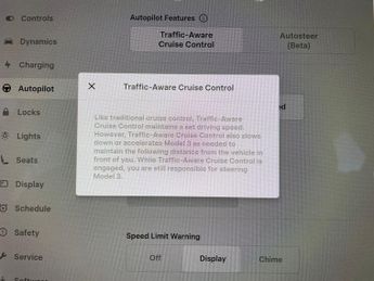 Tesla Model 3 (Dual Motor) Long Range 4WDE (346 ps) - PARK ASSIST - REVERSE CA