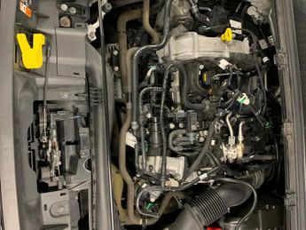 Ford Puma 1.0T EcoBoost MHEV ST-Line Vignale DCT (155 ps) - B&O AUDIO - KE