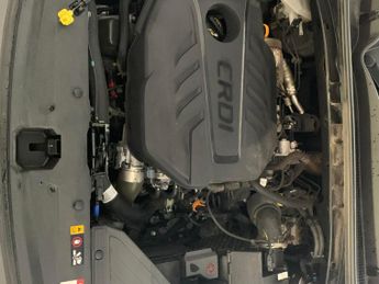 Kia Sportage 1.6 CRDi MHEV GT-Line DCT AWD (134 bhp) - CRUISE - PADDLE SHIFT