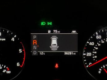 Kia Sportage 1.6 CRDi MHEV GT-Line DCT AWD (134 bhp) - CRUISE - PADDLE SHIFT