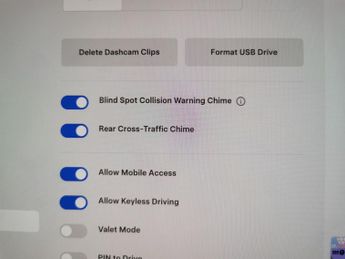 Tesla Model 3 (Dual Motor) Performance 4WDE (Performance Upgrade) (449 bhp) - 