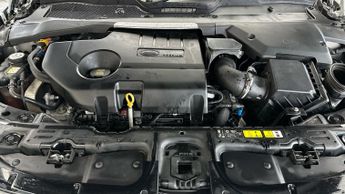 Land Rover Range Rover Evoque 2.0 D180 First Edition 4WD (180 ps) - LED - MERIDIAN AUDIO - REV