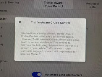 Tesla Model Y SUV RWD (346 ps) - LED - REVERSE CAM - NAV