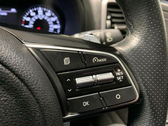Kia Sportage 1.6 T-GDi GT-Line DCT AWD (174 bhp) - CRUISE - PADDLE SHIFT - 19