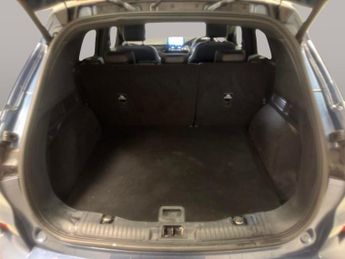 Ford Kuga 1.5 EcoBlue ST-Line X Edition (120 ps) - HEATED STEERING - FORD 