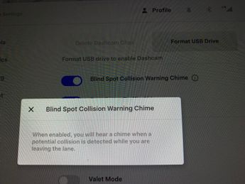 Tesla Model Y SUV RWD (346 ps) - HEATED STEERING - WIFI - BLIND SPOT ASSIST