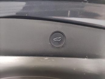 Tesla Model 3 Standard Range Plus RWD (241 bhp) - PARK ASSIST - LED - REVERSE 