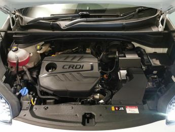 Kia Sportage 1.6 CRDi MHEV GT-Line DCT AWD (134 bhp) - CRUISE - PADDLE SHIFT