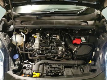 Ford Puma 1.0T EcoBoost MHEV ST-Line DCT (125 ps) - FORD SYNC3 - CRUISE