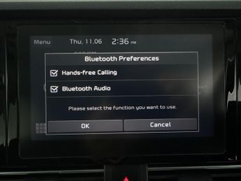Kia Niro 64kWh 2 (201 bhp) APPLE CARPLAY - REV CAM - KEYLESS