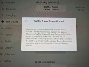 Tesla Model 3 (Dual Motor) Long Range 4WDE (346 ps) - PARK ASSIST - LED - REVE