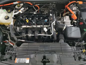 Ford Kuga 2.5 Duratec 14.4kWh ST-Line X Edition Plug-in CVT (225 ps) - PAN