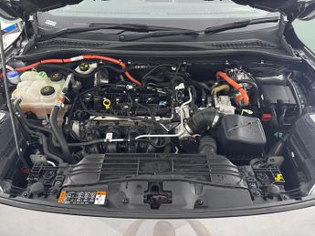 Ford Kuga 2.5h Duratec ST-Line X Edition CVT (190 ps) - BLACK ROOF RAILS