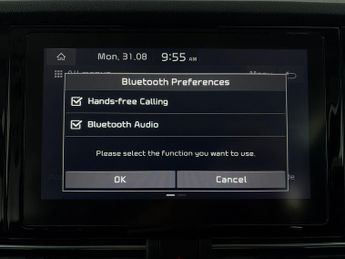 Kia Niro 64kWh 2 (201 bhp) - LANE DEPARTURE  - BLUETOOTH - PADDLE SHIFT