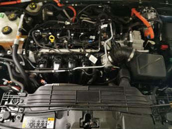 Ford Kuga 2.5h Duratec ST-Line X Edition CVT (190 ps) - BLACK ROOF RAILS