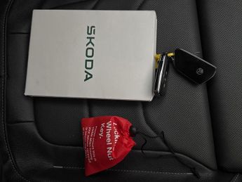 Skoda Kodiaq 2.0 TDI SE L DSG 4WD (7 Seat) (193 ps) - HEATED STEERING