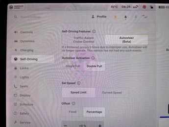 Tesla Model 3 (Dual Motor) Performance 4WDE (Performance Upgrade) (449 bhp) - 