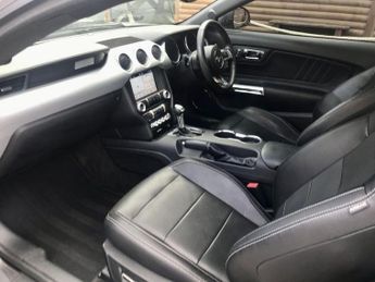FORD MUSTANG 2.3T EcoBoost Fastback 2dr Petrol SelShift Euro 6 (317 ps)