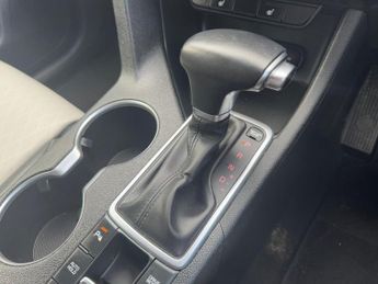 KIA SPORTAGE 1.6 CRDi MHEV GT-Line SUV 5dr Diesel Hybrid DCT Euro 6 (s/s) (13