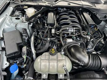 FORD MUSTANG 5.0 V8 Mach 1 Fastback 2dr Petrol SelShift Euro 6 (460 ps)-1 Own