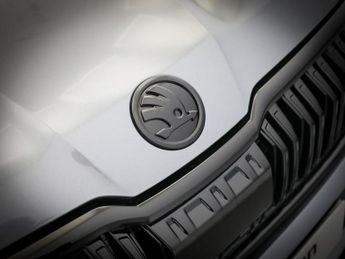 SKODA KODIAQ 1.5 TSI ACT SE L Executive SUV 5dr Petrol DSG Euro 6 (s/s) (7 Se