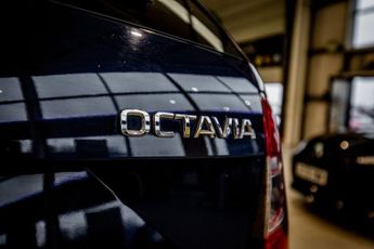 SKODA OCTAVIA 2.0 TDI Scout Estate 5dr Diesel DSG 4WD Euro 6 (s/s) (184 ps)